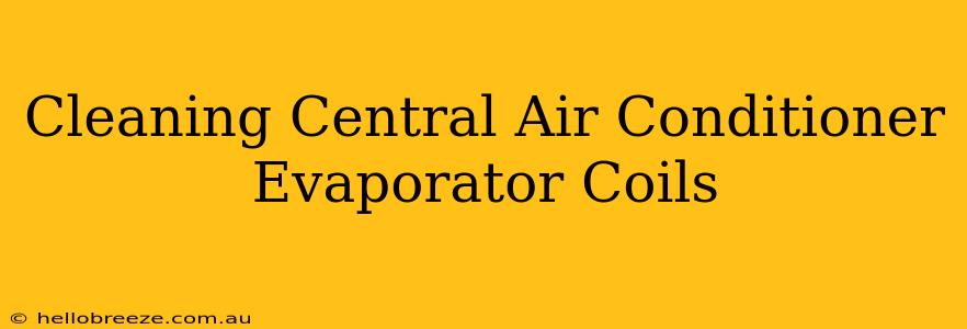 Cleaning Central Air Conditioner Evaporator Coils