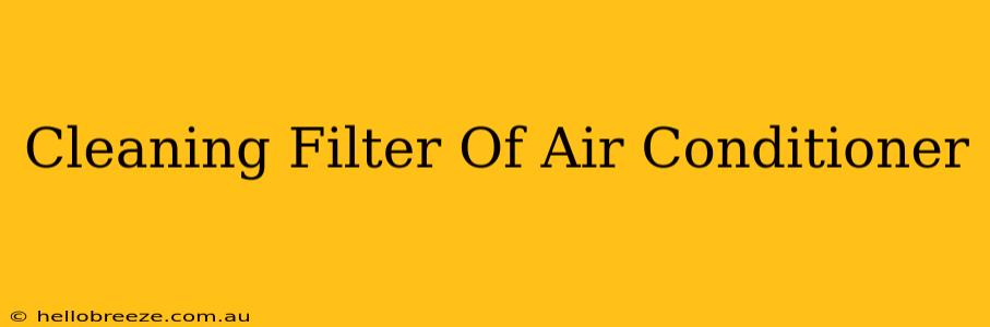 Cleaning Filter Of Air Conditioner