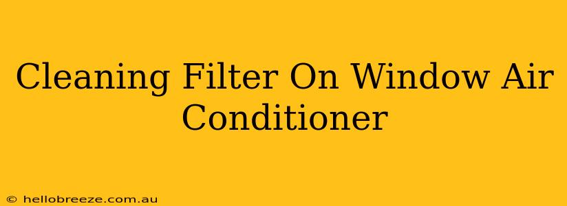 Cleaning Filter On Window Air Conditioner