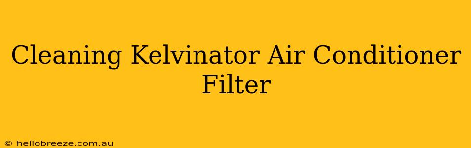 Cleaning Kelvinator Air Conditioner Filter