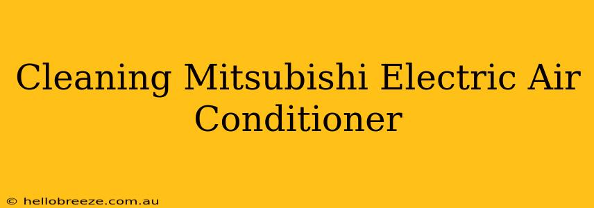 Cleaning Mitsubishi Electric Air Conditioner