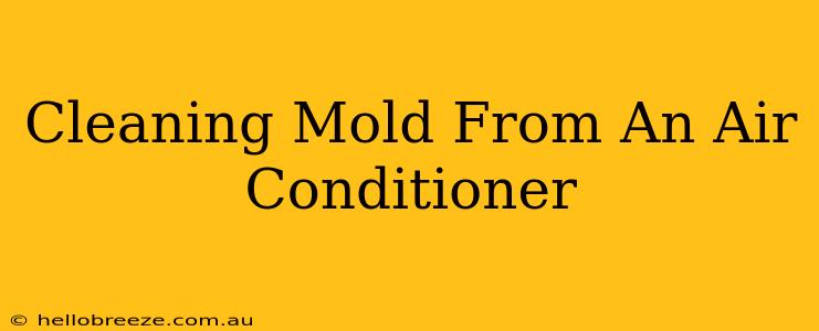 Cleaning Mold From An Air Conditioner