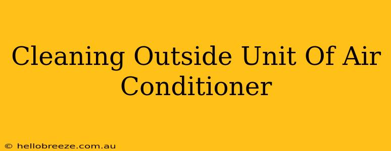 Cleaning Outside Unit Of Air Conditioner