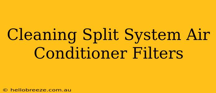 Cleaning Split System Air Conditioner Filters