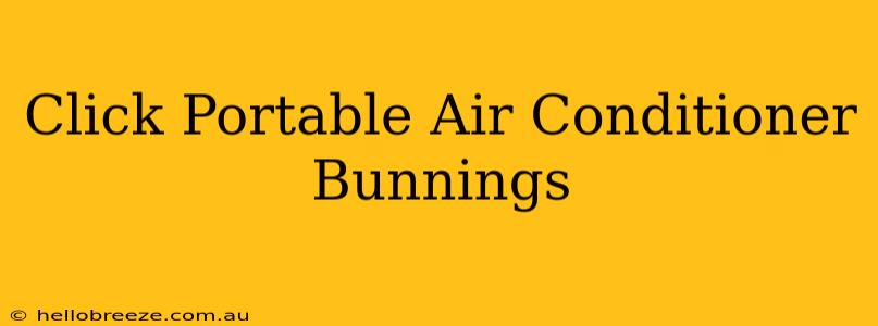 Click Portable Air Conditioner Bunnings