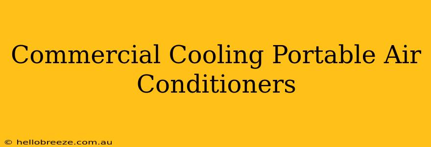 Commercial Cooling Portable Air Conditioners