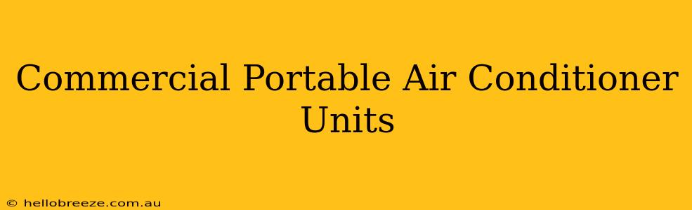 Commercial Portable Air Conditioner Units