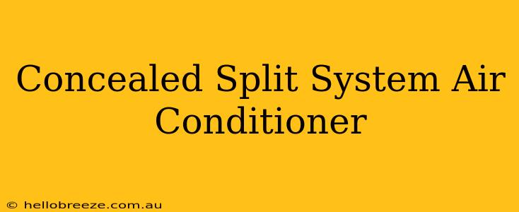 Concealed Split System Air Conditioner