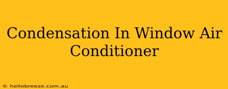 Condensation In Window Air Conditioner