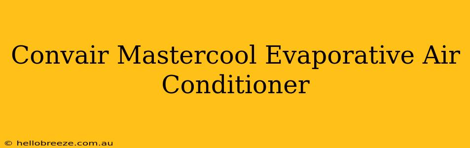 Convair Mastercool Evaporative Air Conditioner