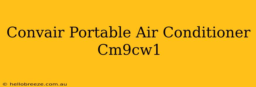 Convair Portable Air Conditioner Cm9cw1