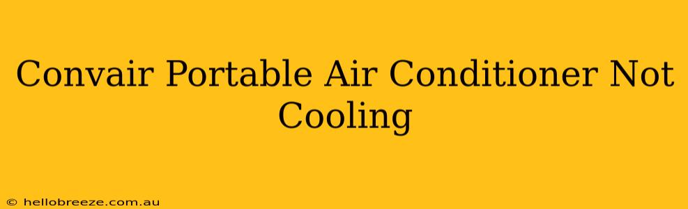 Convair Portable Air Conditioner Not Cooling