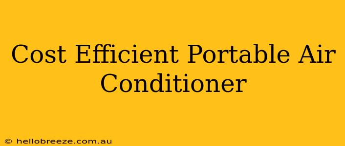 Cost Efficient Portable Air Conditioner