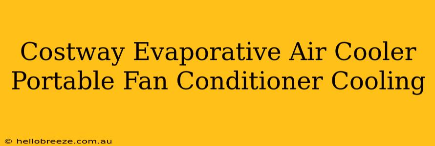 Costway Evaporative Air Cooler Portable Fan Conditioner Cooling