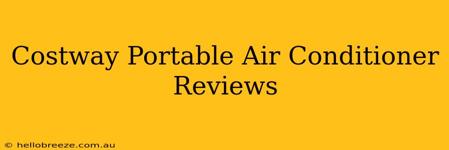 Costway Portable Air Conditioner Reviews