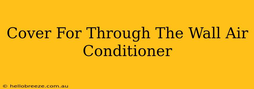 Cover For Through The Wall Air Conditioner