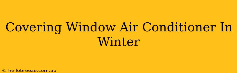 Covering Window Air Conditioner In Winter