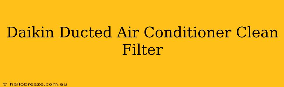 Daikin Ducted Air Conditioner Clean Filter