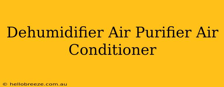 Dehumidifier Air Purifier Air Conditioner