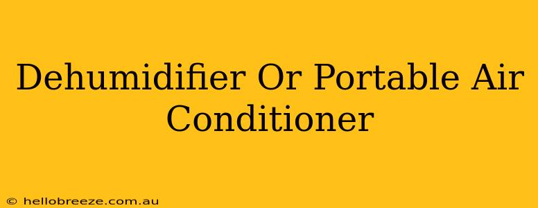 Dehumidifier Or Portable Air Conditioner