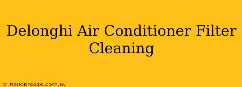 Delonghi Air Conditioner Filter Cleaning