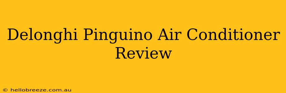 Delonghi Pinguino Air Conditioner Review