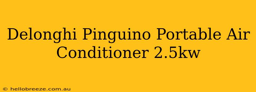 Delonghi Pinguino Portable Air Conditioner 2.5kw