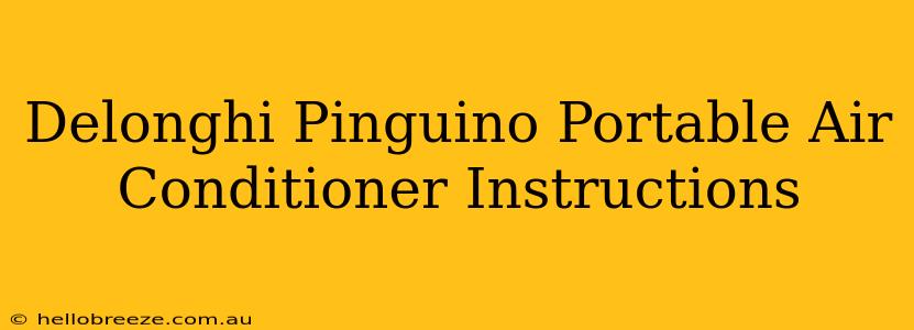 Delonghi Pinguino Portable Air Conditioner Instructions