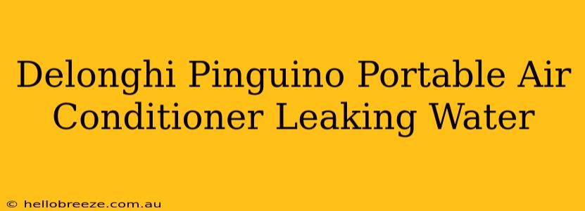 Delonghi Pinguino Portable Air Conditioner Leaking Water