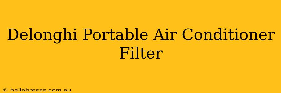 Delonghi Portable Air Conditioner Filter