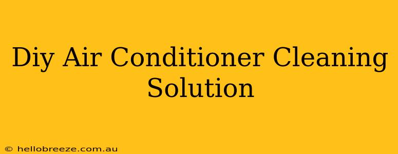 Diy Air Conditioner Cleaning Solution