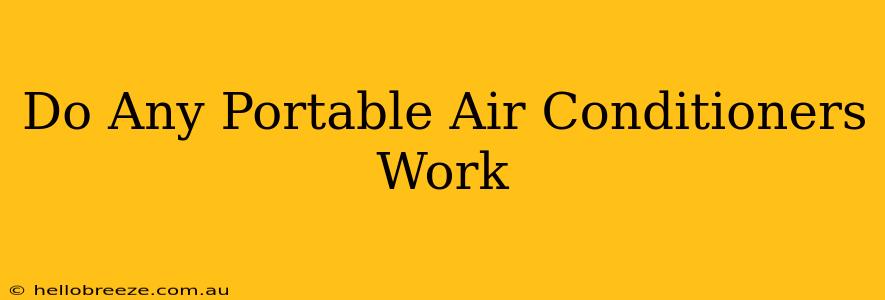 Do Any Portable Air Conditioners Work