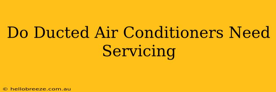 Do Ducted Air Conditioners Need Servicing