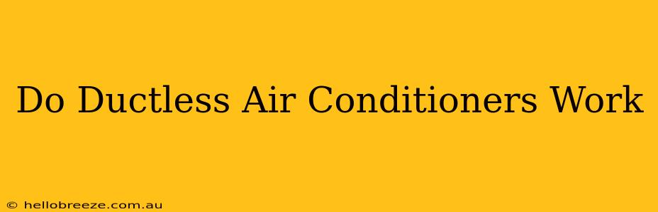 Do Ductless Air Conditioners Work