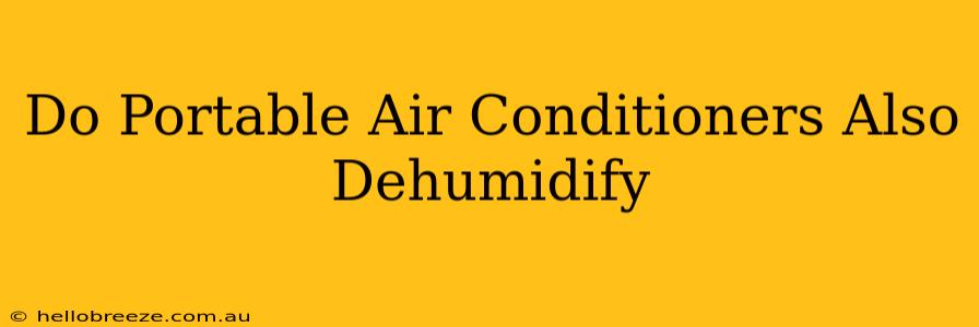 Do Portable Air Conditioners Also Dehumidify