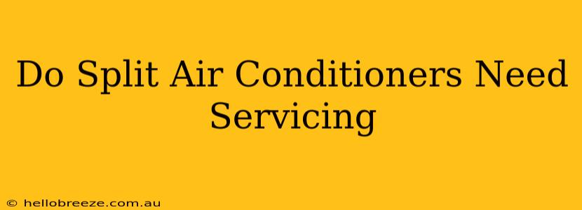 Do Split Air Conditioners Need Servicing