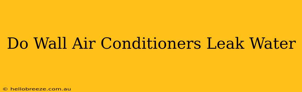 Do Wall Air Conditioners Leak Water