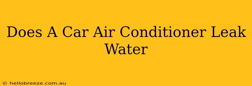 Does A Car Air Conditioner Leak Water