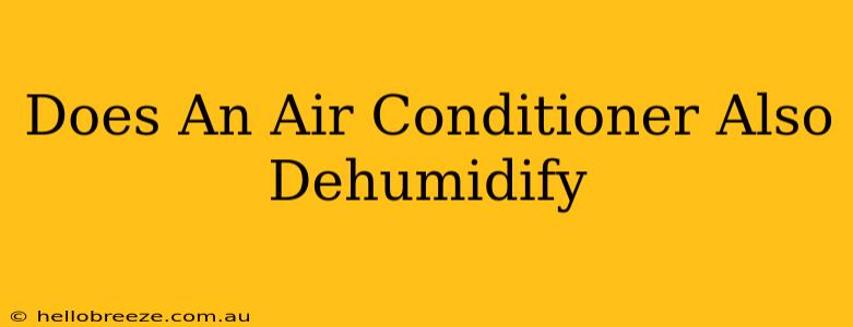 Does An Air Conditioner Also Dehumidify