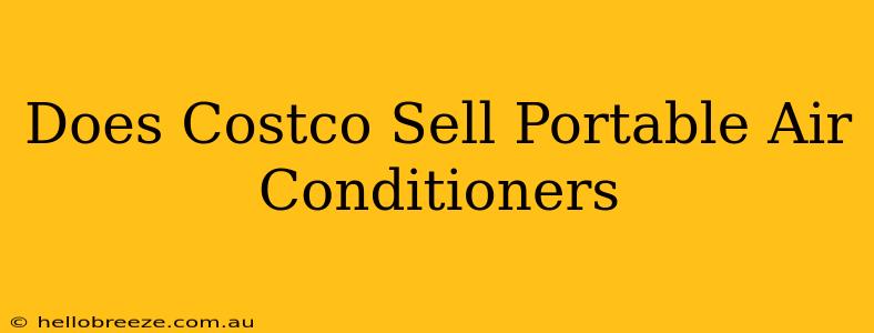 Does Costco Sell Portable Air Conditioners