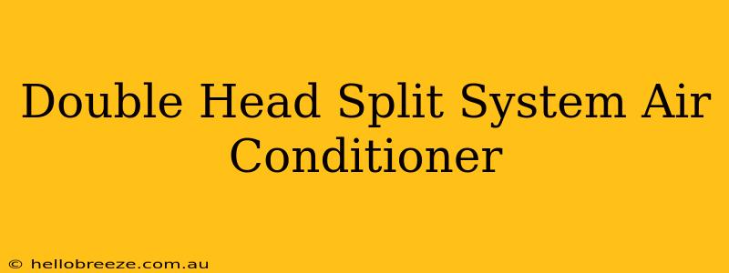 Double Head Split System Air Conditioner