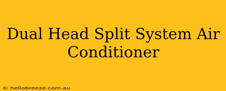 Dual Head Split System Air Conditioner