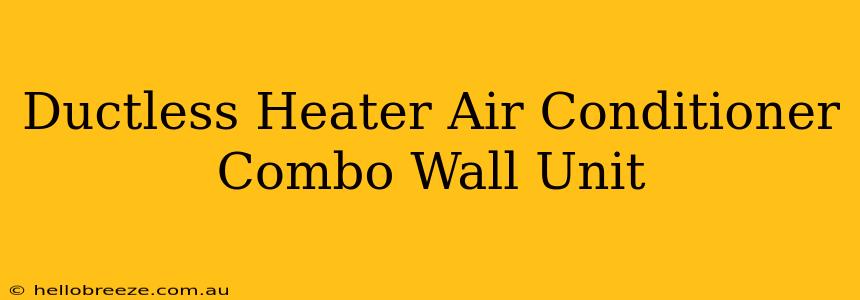 Ductless Heater Air Conditioner Combo Wall Unit