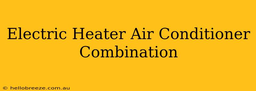 Electric Heater Air Conditioner Combination