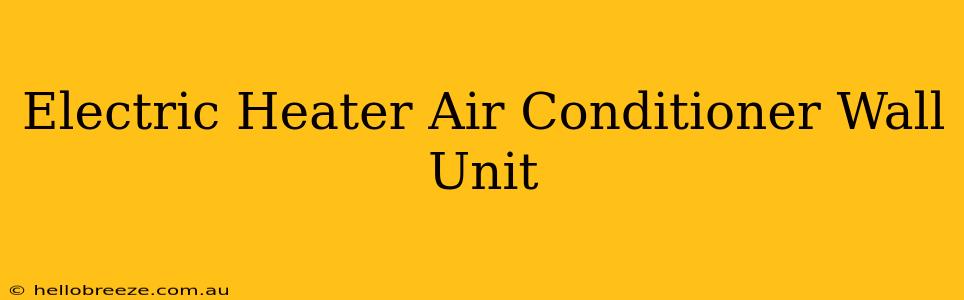 Electric Heater Air Conditioner Wall Unit