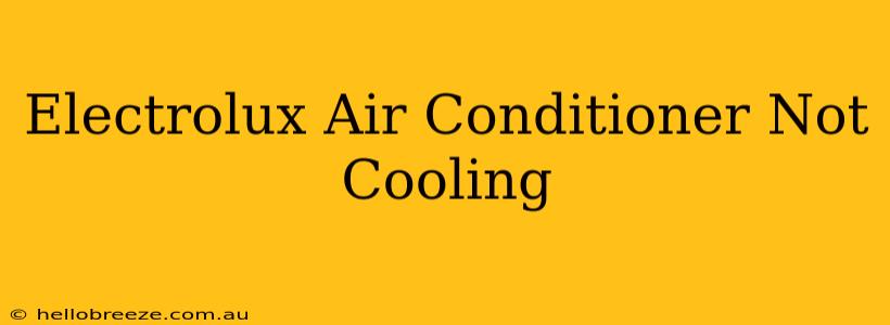 Electrolux Air Conditioner Not Cooling