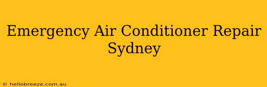 Emergency Air Conditioner Repair Sydney