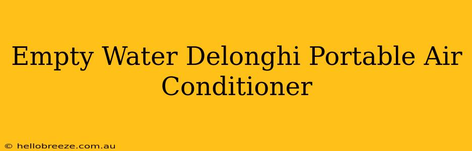 Empty Water Delonghi Portable Air Conditioner