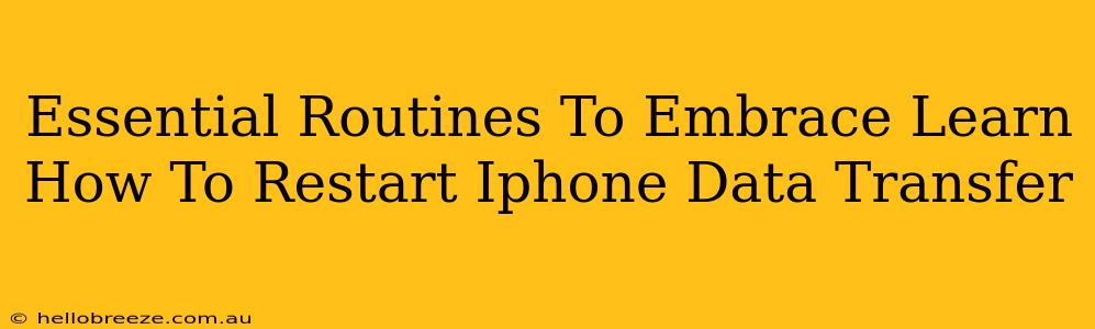 Essential Routines To Embrace Learn How To Restart Iphone Data Transfer