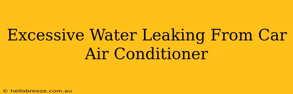 Excessive Water Leaking From Car Air Conditioner